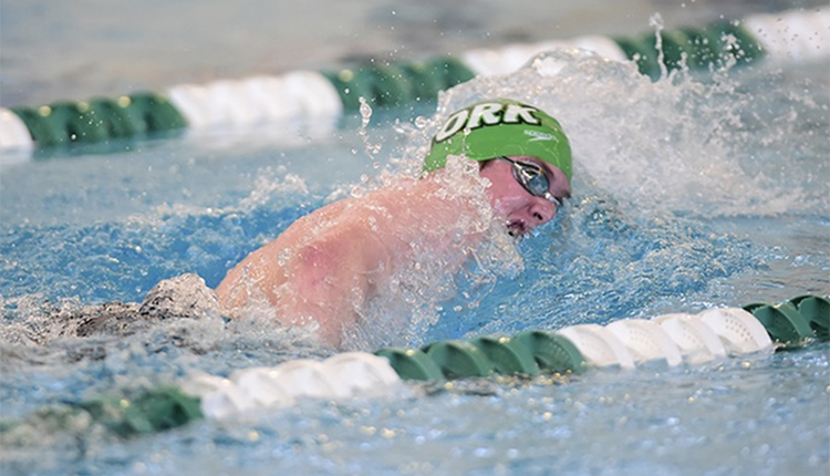 York's Keven Stahl Earns All-America Honors at NCAA Swimming Championships