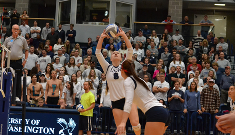 Mary Washington Volleyball Blanks Randolph-Macon, Advances to NCAA Sweet 16