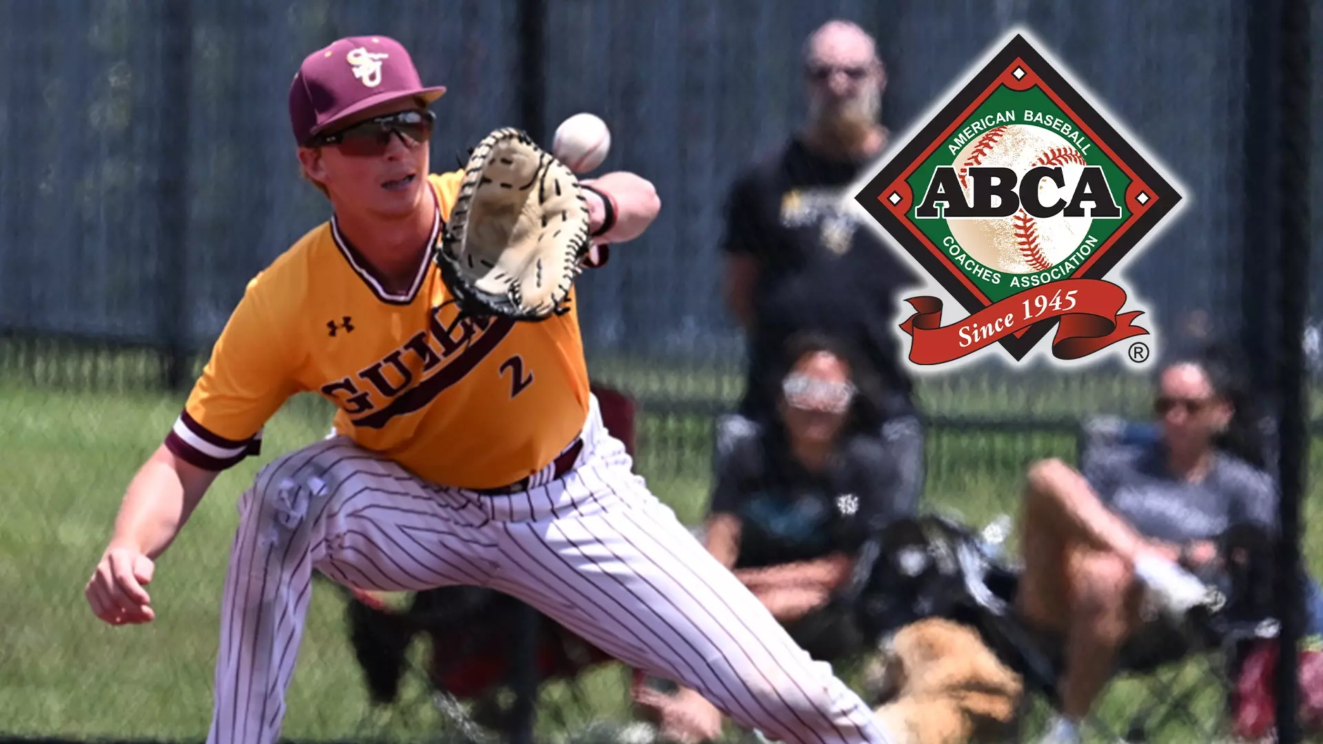 Salisbury's Danny Sheeler selected for ABCA Region 5 All-Defensive Team