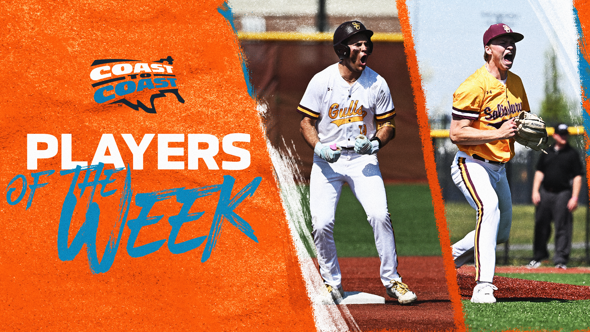 SU&rsquo;s Newton, Brinsfield Earn C2C Weekly Baseball Honors