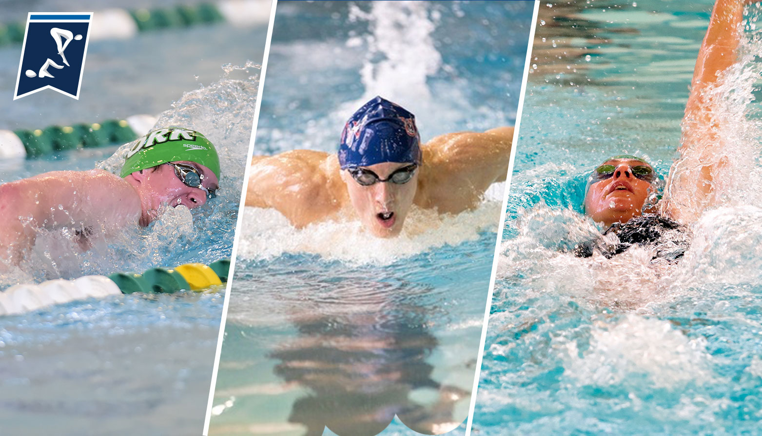 Mary Washington's Leckrone & York's Stahl Both Two-Time All-Americans at NCAA Swimming Championships