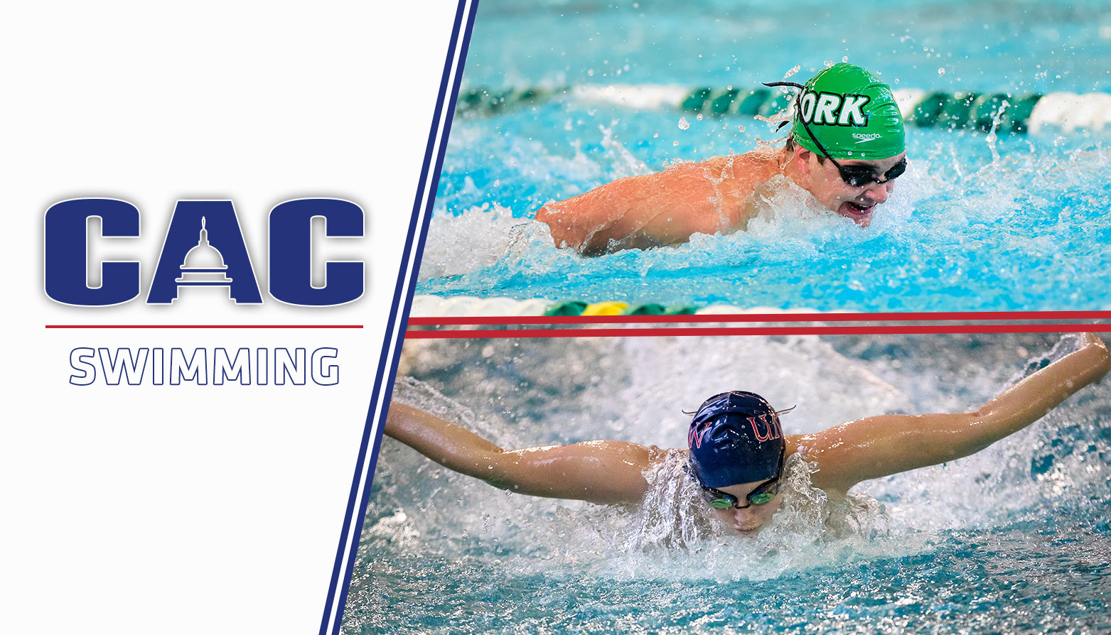 York's Halem & Mary Washington's Vaughn Earn CAC Swimmer of the Week Accolades